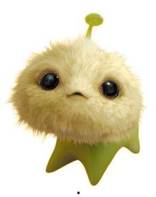 七仔照片,治愈系宠物瞬间