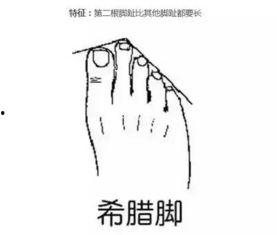 八卦 脚,探寻中华智慧之源